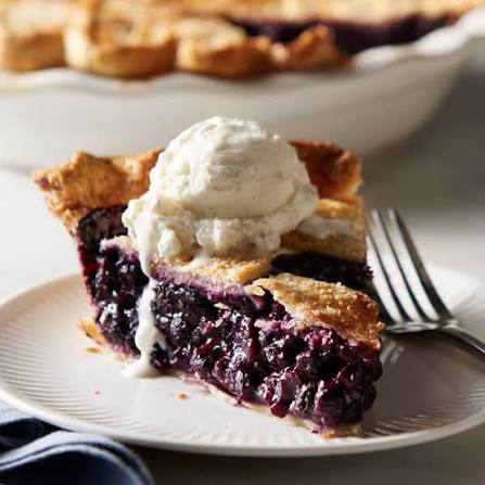A slice of blueberry pie served with vanilla ice cream